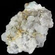 Calcite, Quartz, Pyrite and Fluorite Association - Fluorescent #51853-1